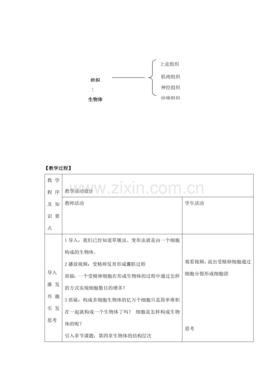 七年级生物上册 第4章 第1节 细胞分化形成组织教案1 北师大版.doc_第3页