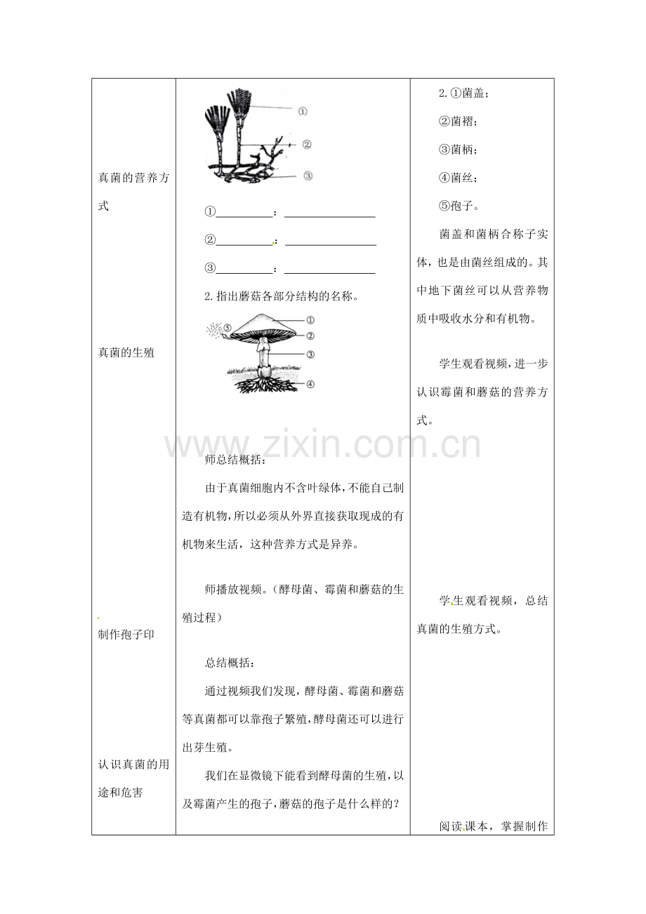 八年级生物上册 第五单元 第四章 第三节《真菌》教案2 （新版）新人教版-（新版）新人教版初中八年级上册生物教案.doc_第3页