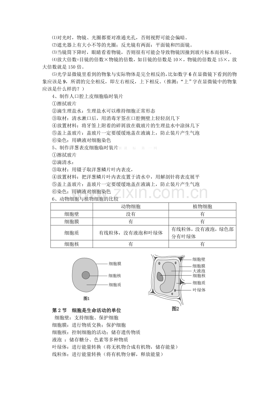 2013年北师大版七年级生物上册知识点.doc_第2页