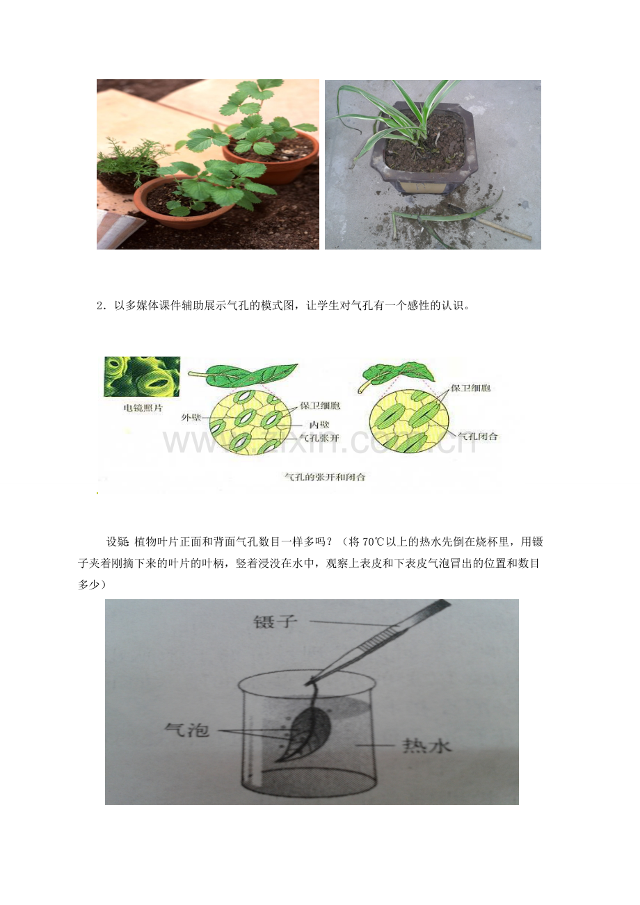 江西省信丰县黄泥中学中考生物实验汇总复习 观察植物叶表皮的气孔创新教学设计.doc_第2页