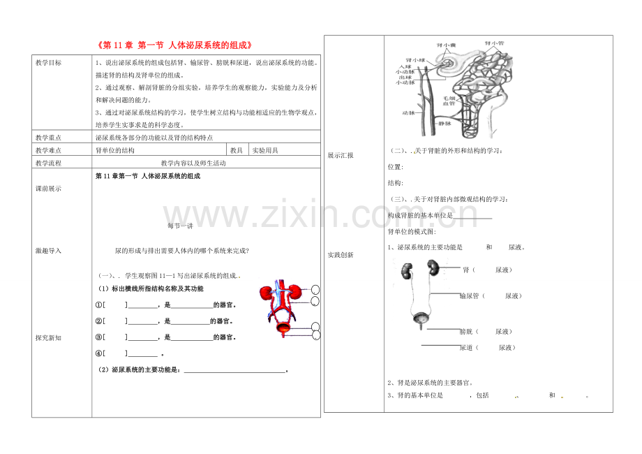 辽宁省抚顺市第二十六中学七年级生物下册《第11章 第一节 人体泌尿系统的组成》教学案 新人教版.doc_第1页