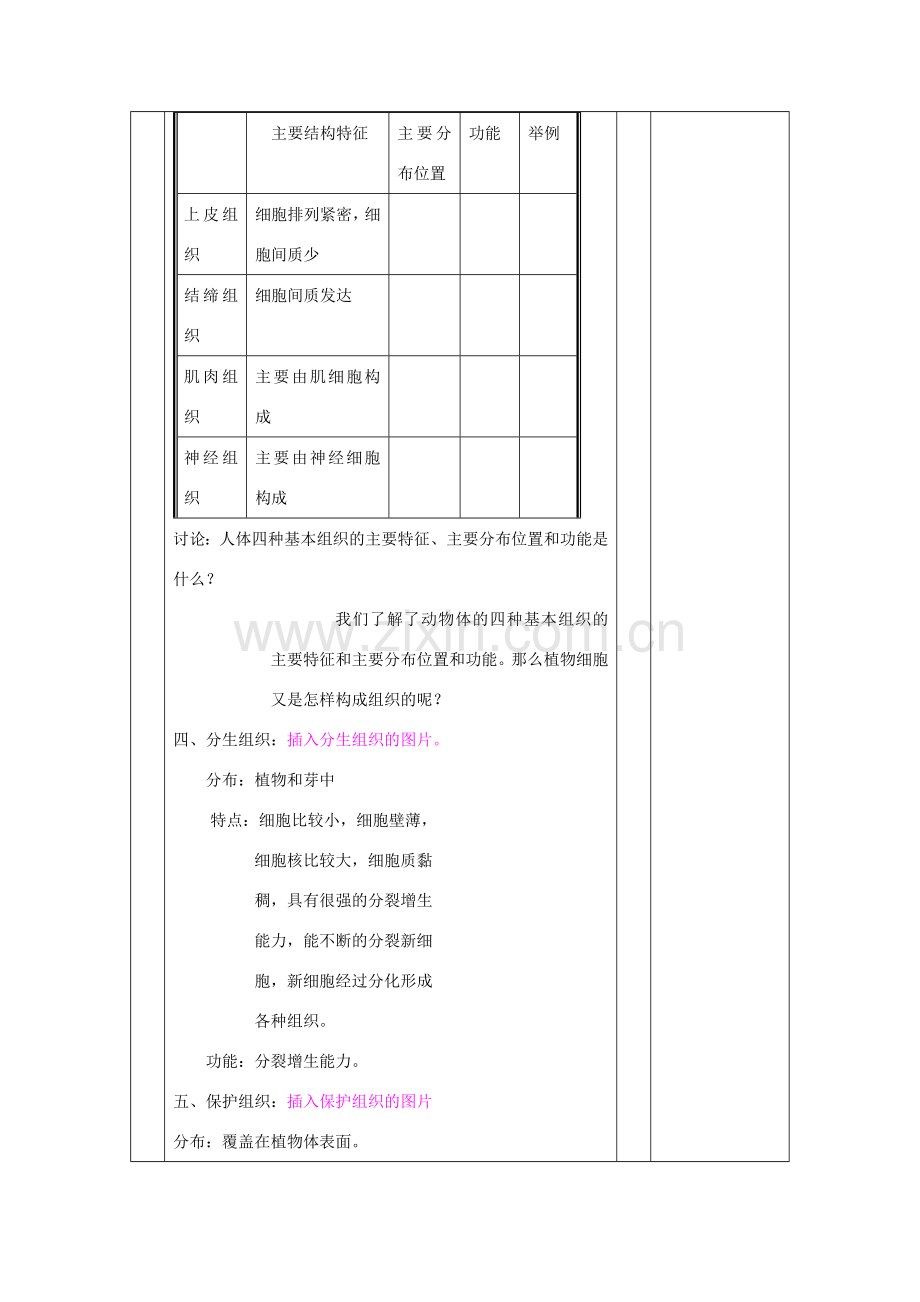 七年级生物上册 2.4.1 细胞分化形成组织教案 （新版）北师大版-（新版）北师大版初中七年级上册生物教案.doc_第3页