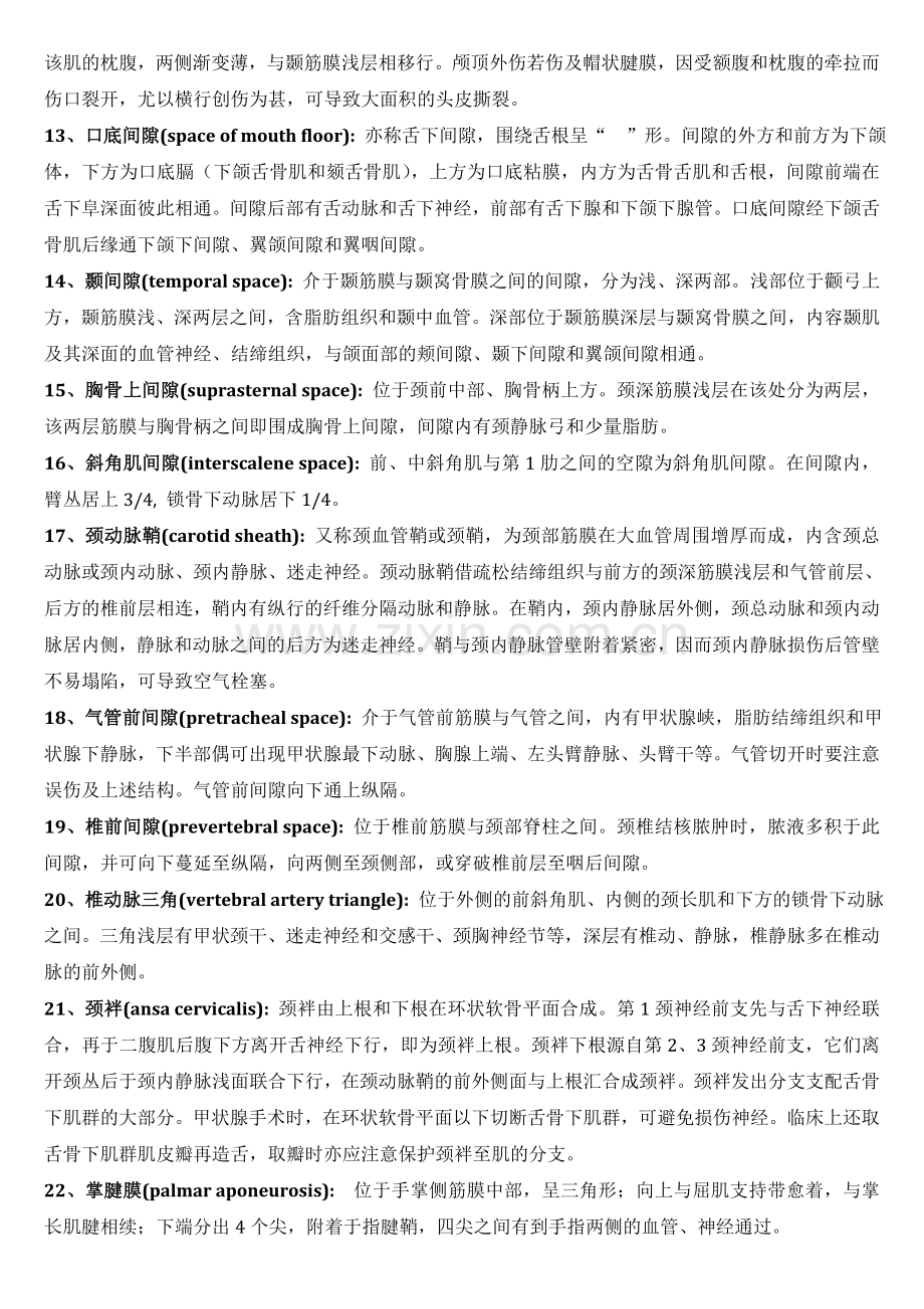 局部解剖学名词解释(中英文).doc_第2页