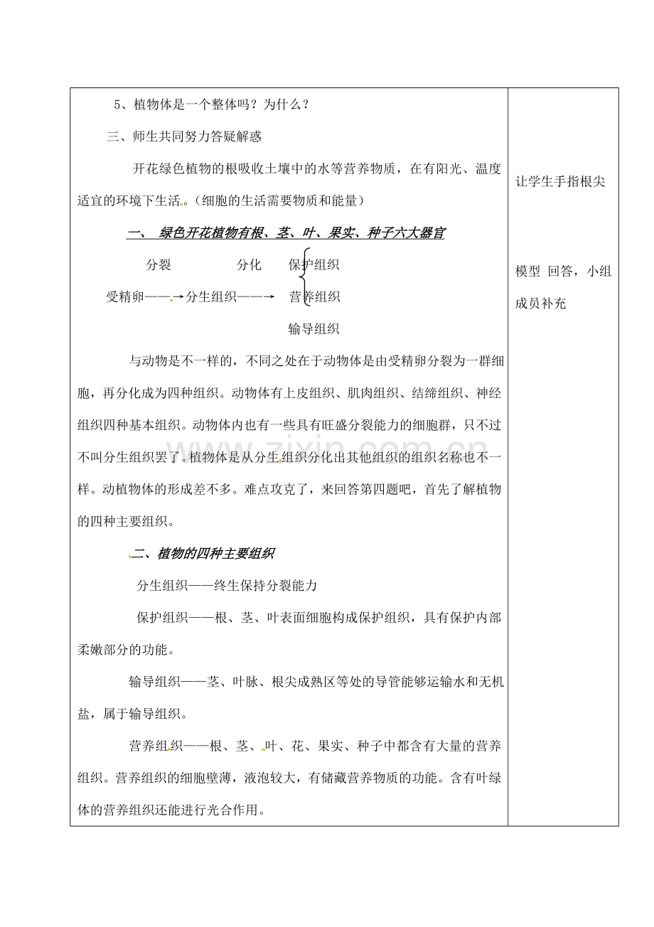 河北省高碑店市第三中学七年级生物上册 第二节 植物体的结构层次教案 新人教版.doc_第3页