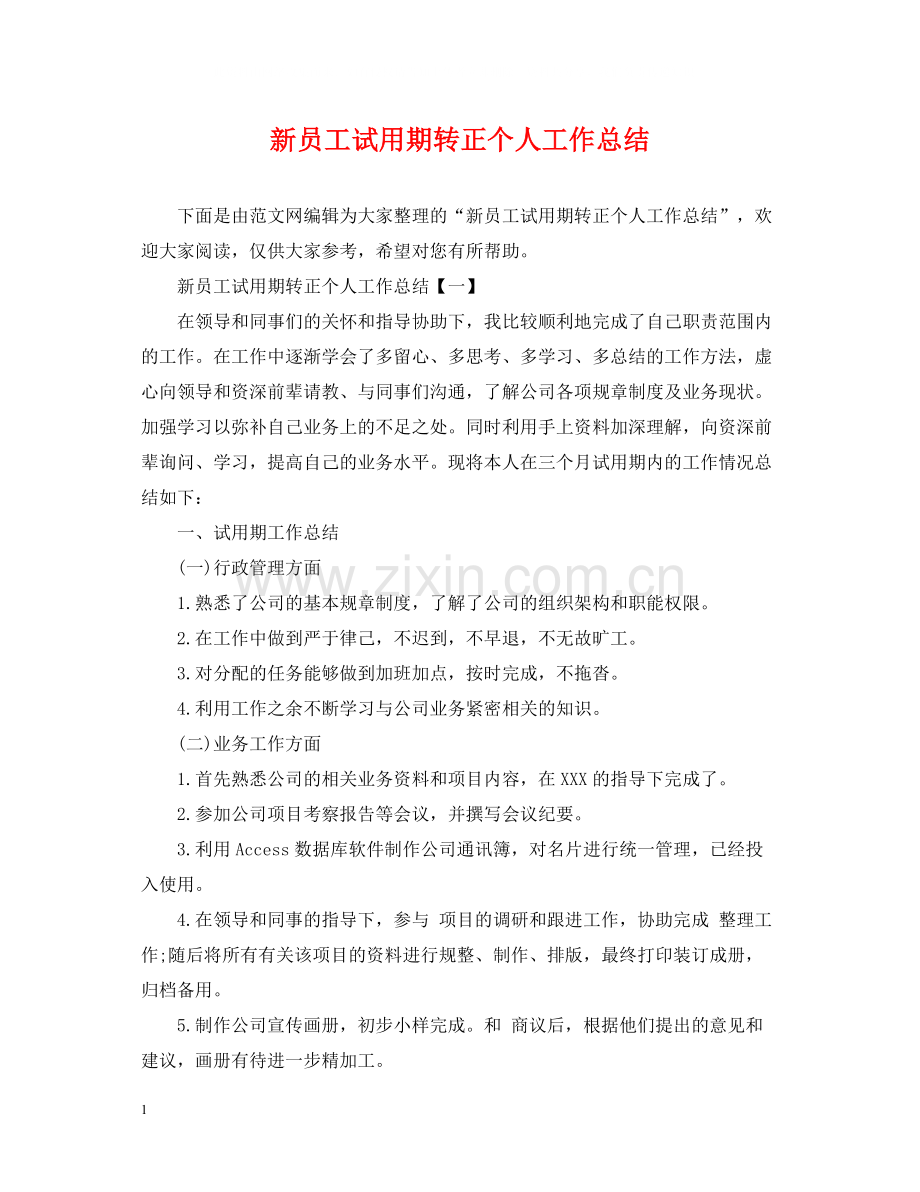 新员工试用期转正个人工作总结.docx_第1页