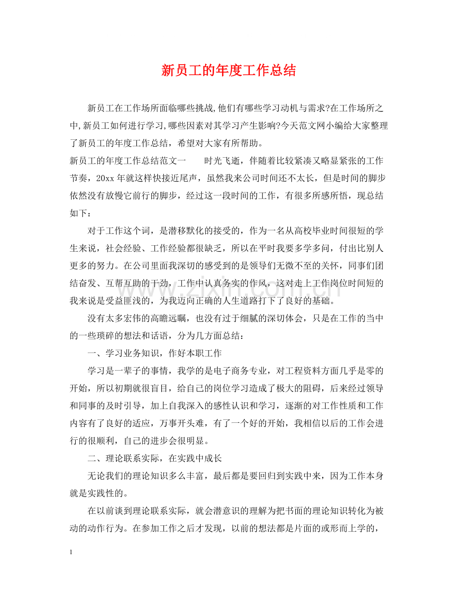 新员工的年度工作总结.docx_第1页