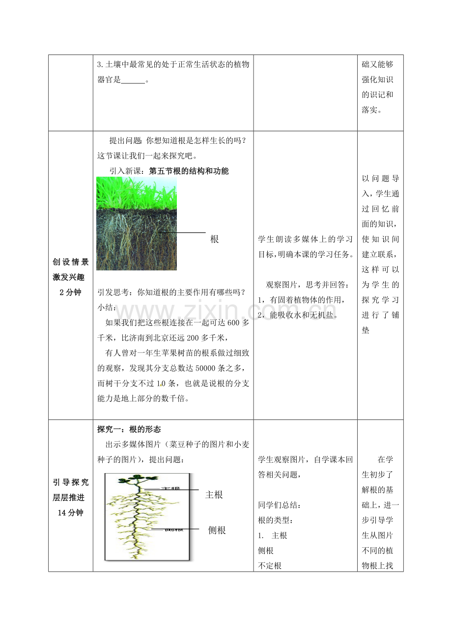 山东省滕州市大坞镇大坞中学八年级生物上册 4.1.5 根的结构和功能教案 济南版.doc_第2页