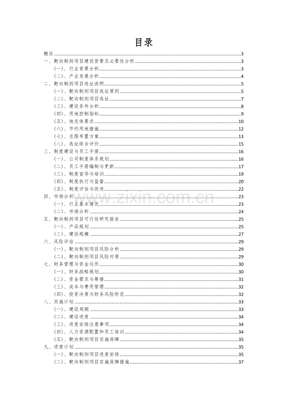 靶向制剂项目可行性研究报告.docx_第2页