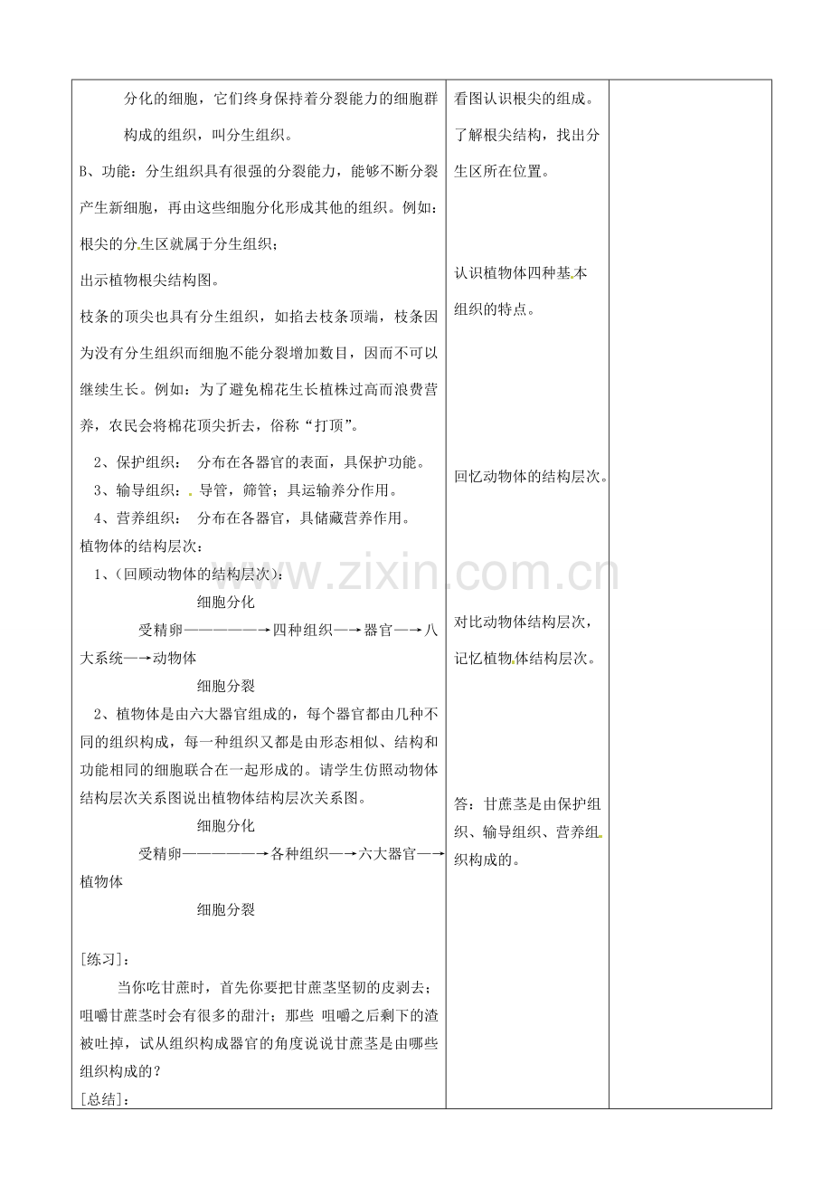 山东省郯城第三中学七年级生物上册 第三节 植物体的结构层次教案 新人教版.doc_第3页