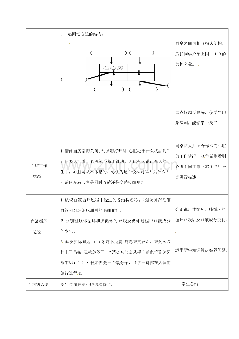 黑龙江省鸡西市七年级生物下册 4.4.3 输送血液的泵——心脏教案 （新版）新人教版-（新版）新人教版初中七年级下册生物教案.doc_第2页