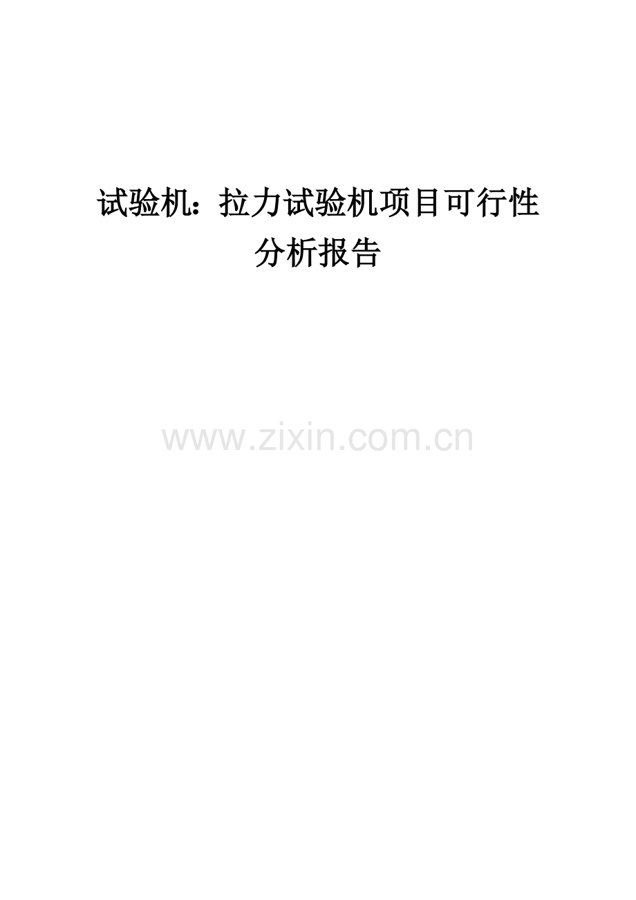 试验机：拉力试验机项目可行性分析报告.docx_第1页