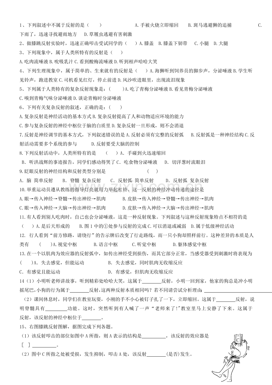 七年级生物下册 3.5.3 神经调节的基本方式导学案（无答案）（新版）济南版.doc_第2页