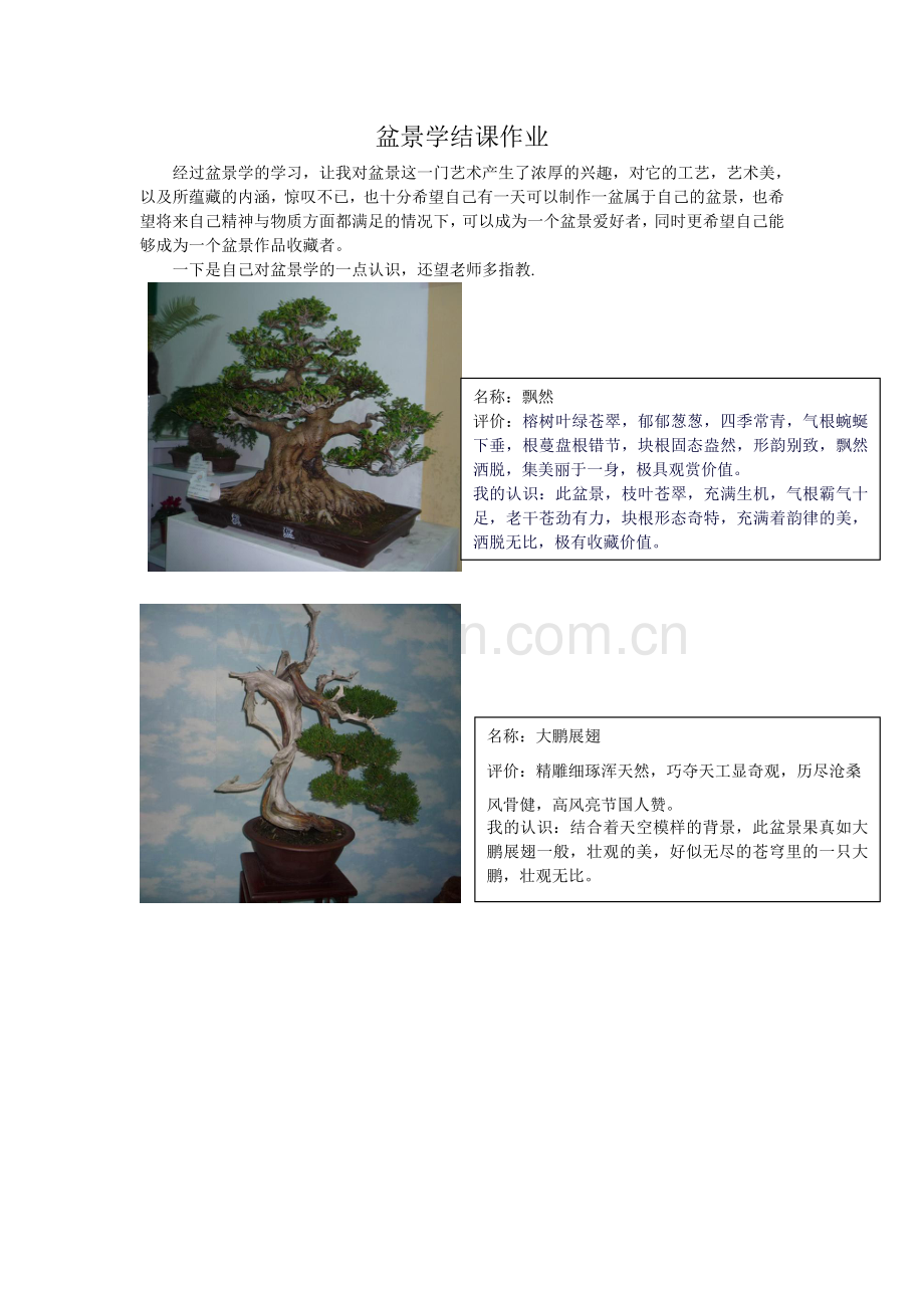 盆景学结课作业.doc_第1页