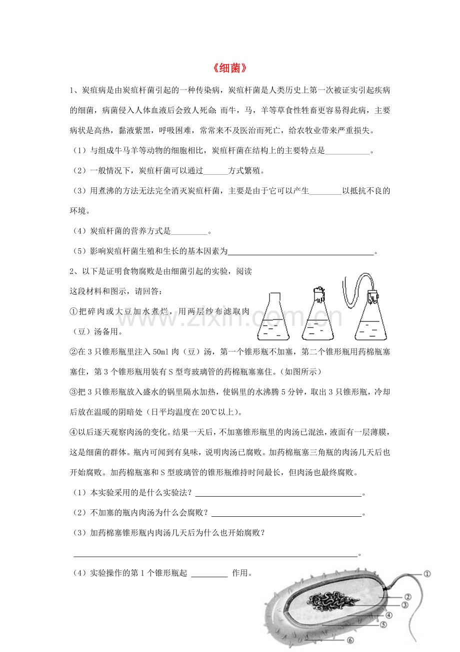 八年级生物上册 5.4.2 细菌练习题3（无答案）（新版）新人教版.doc_第1页