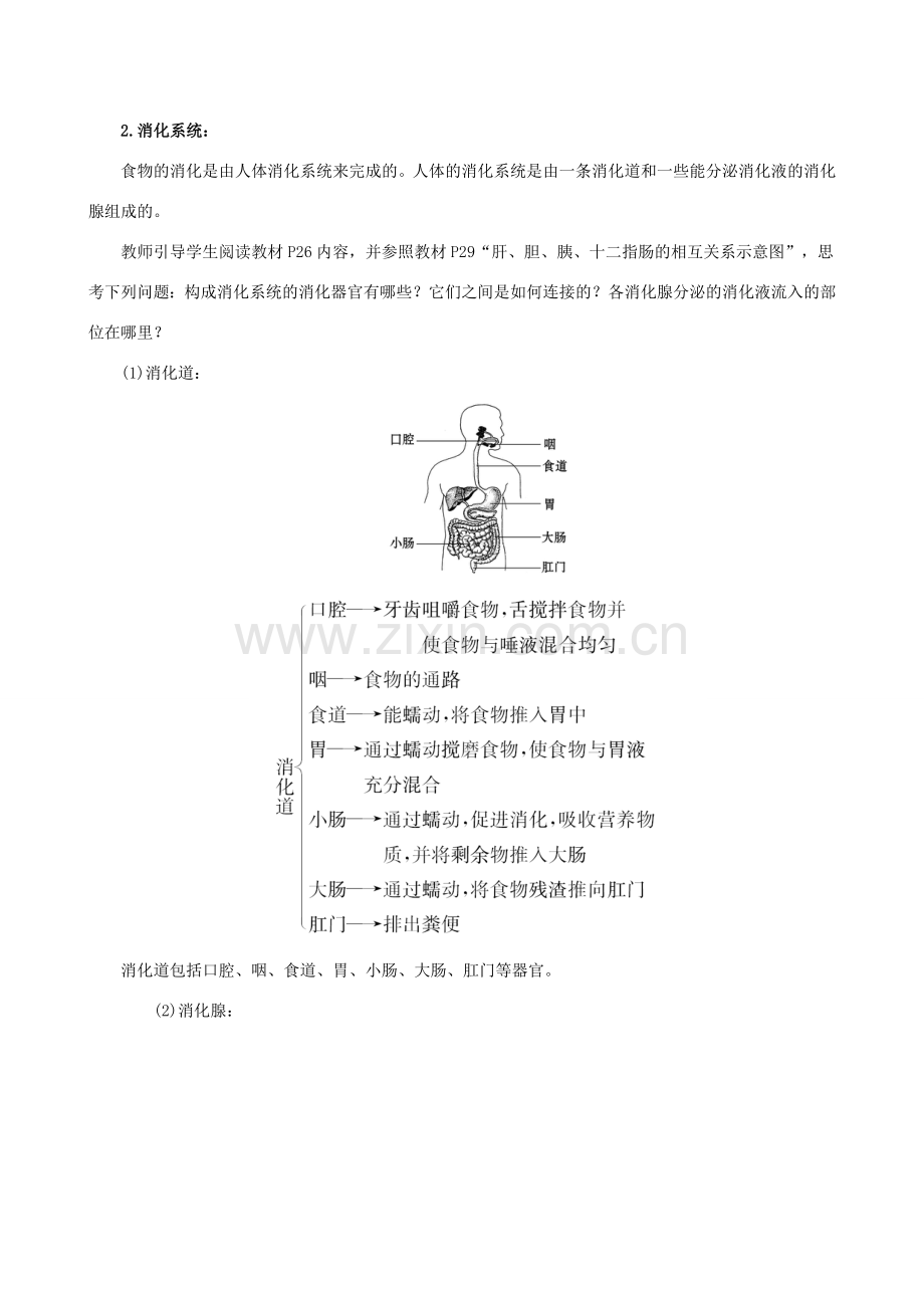 版七年级生物下册 第四单元 生物圈中的人 第二章 人体的营养 2 消化和吸收教案 新人教版-新人教版初中七年级下册生物教案.doc_第2页