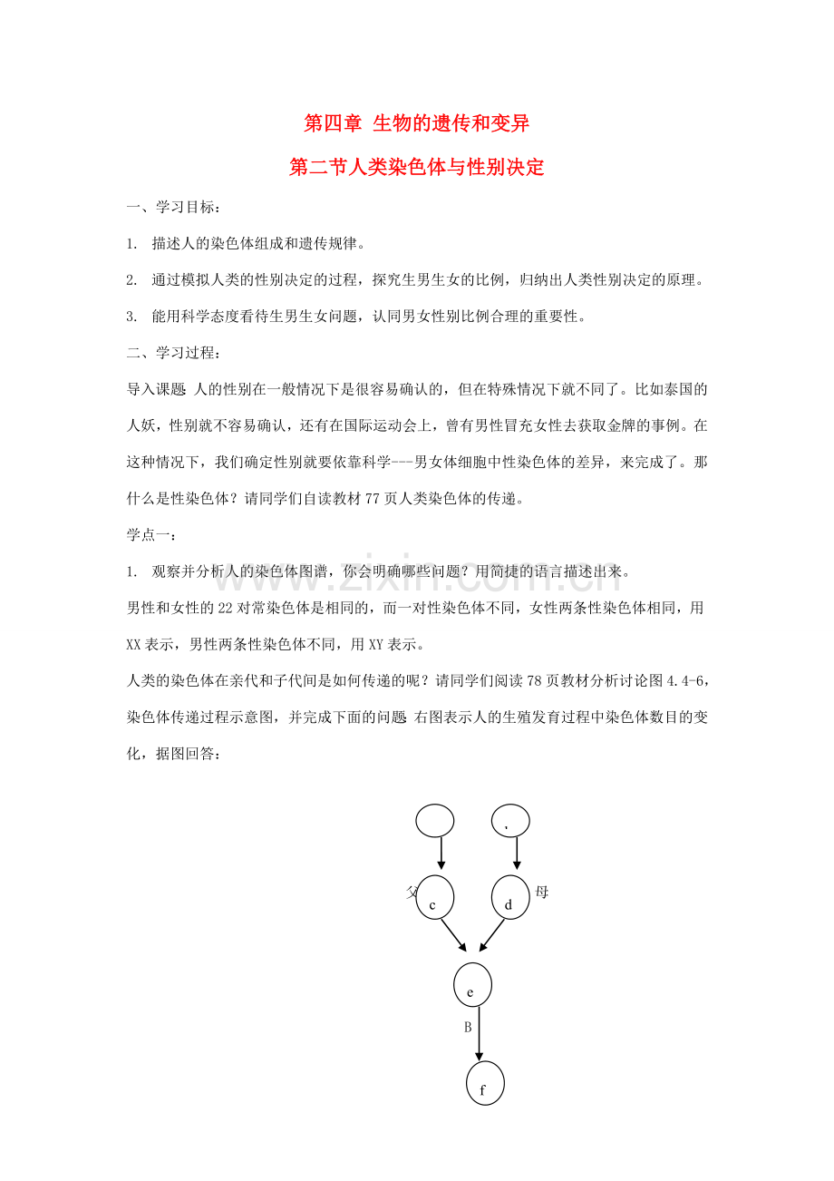 八年级生物上：4.2人类染色体与性别决定教案济南版.doc_第1页