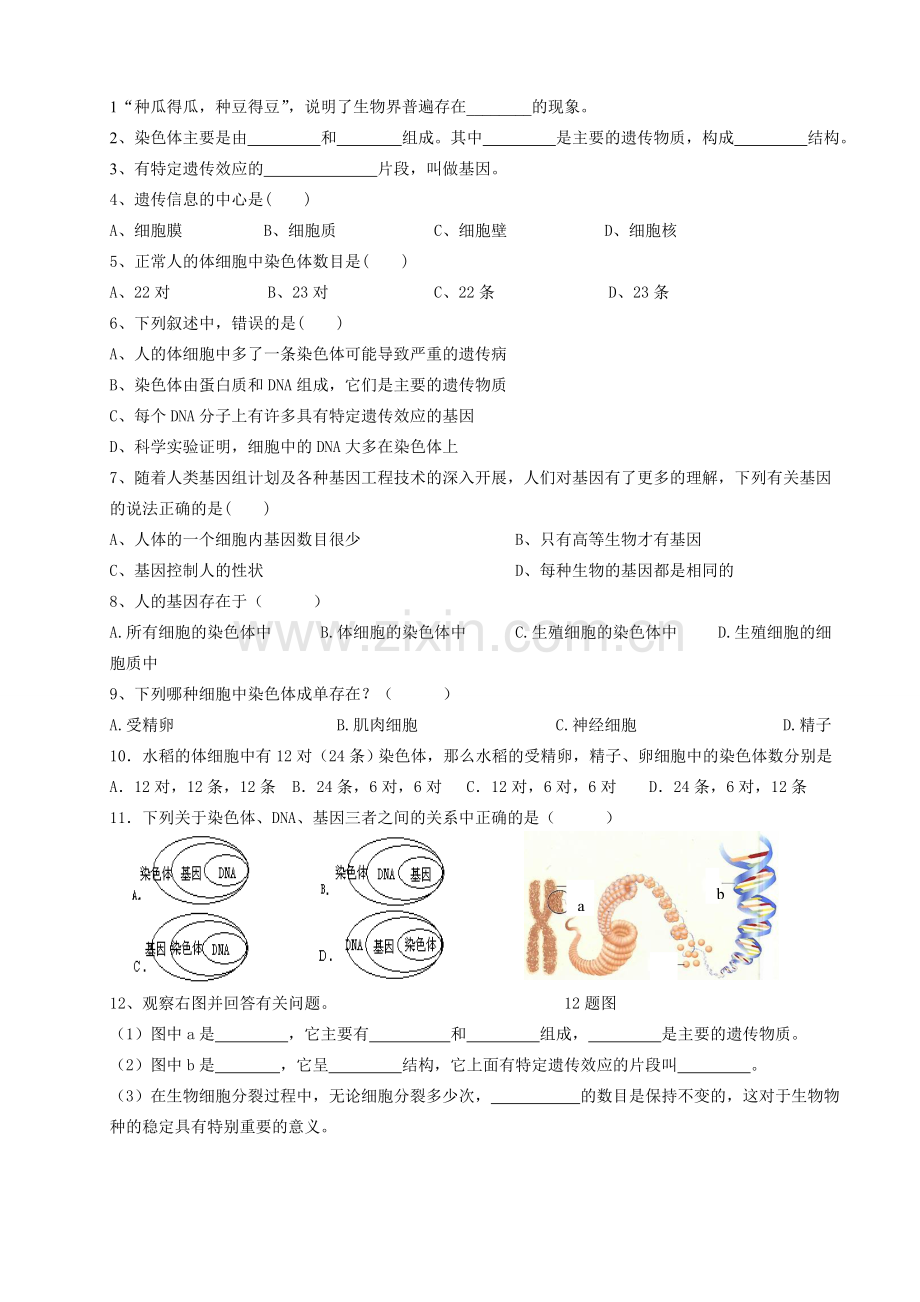 八年级生物上册 第15章生物的遗传和变异第一节教案 苏教版.doc_第2页