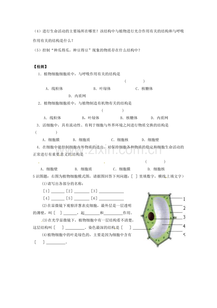 辽宁省辽阳市第九中学七年级生物上册《2.3.1 植物细胞的结构和功能》学案（无答案） 新人教版.doc_第2页