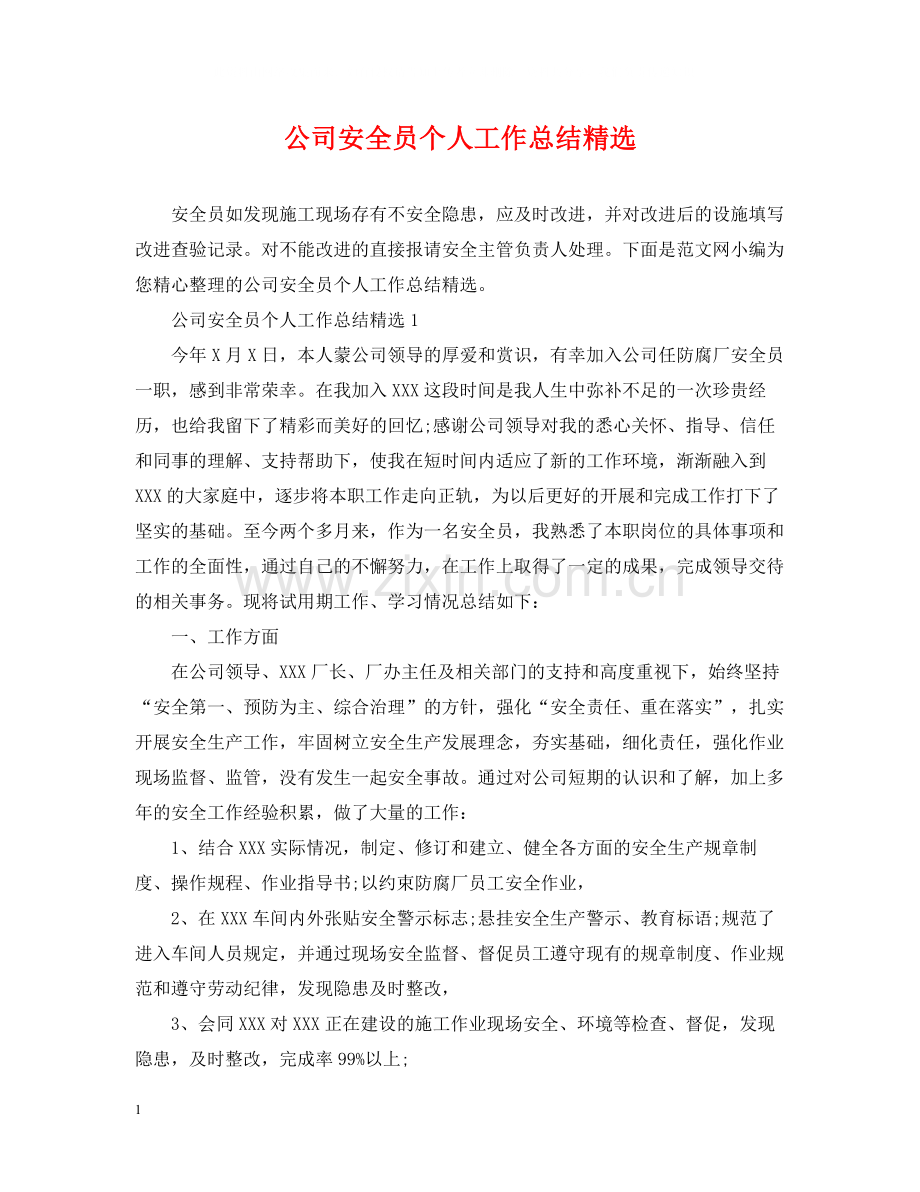 公司安全员个人工作总结.docx_第1页