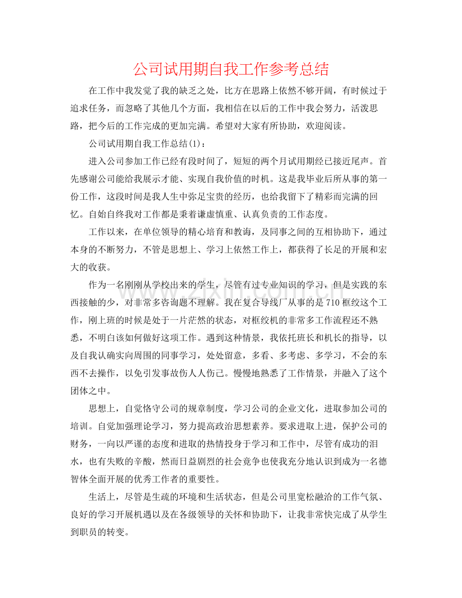 公司试用期自我工作参考总结.docx_第1页