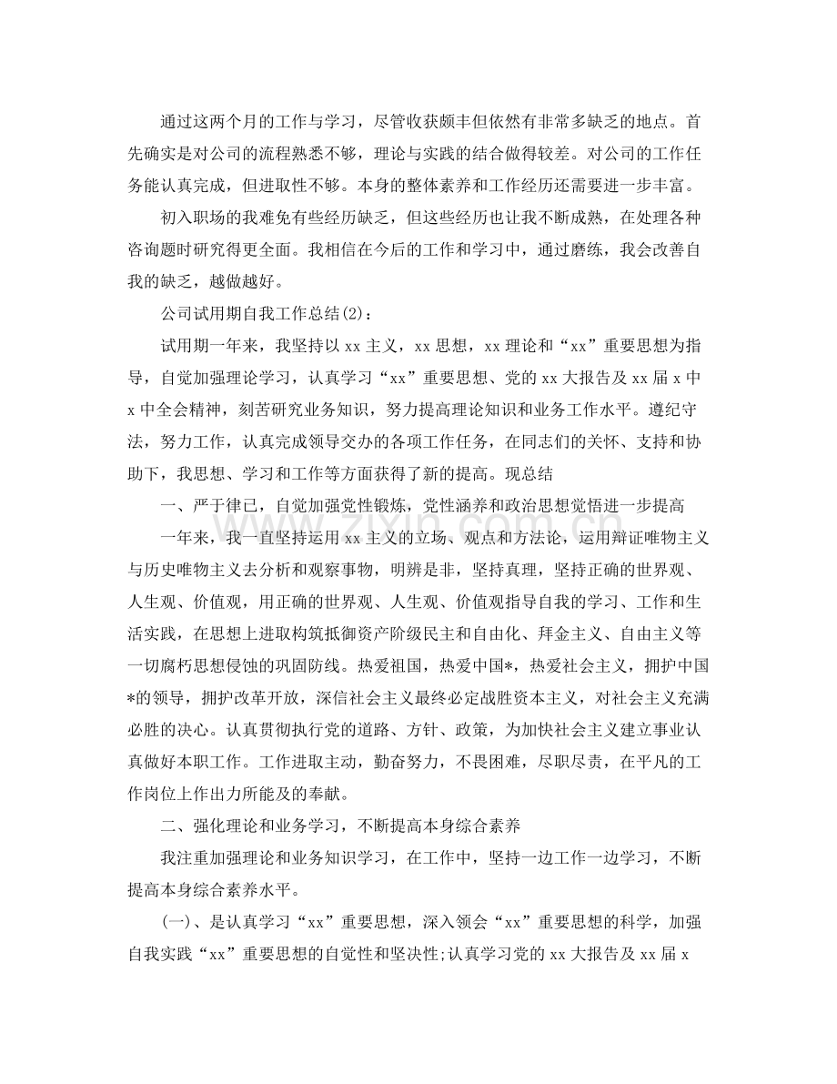 公司试用期自我工作参考总结.docx_第2页