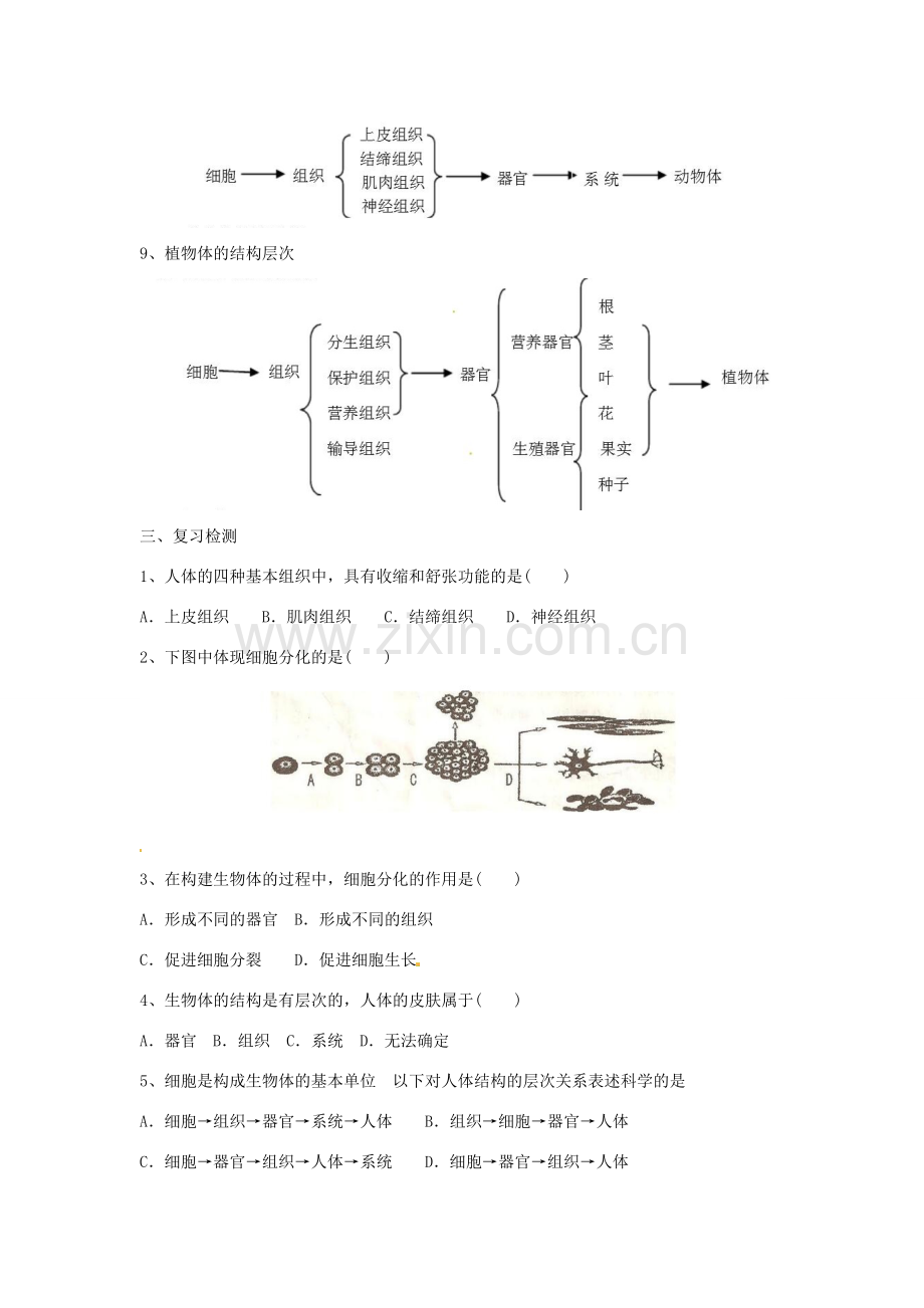 （适用期末复习）七年级生物上册 第2单元 第4章 生物体的结构层次教案 北师大版-北师大版初中七年级上册生物教案.doc_第2页