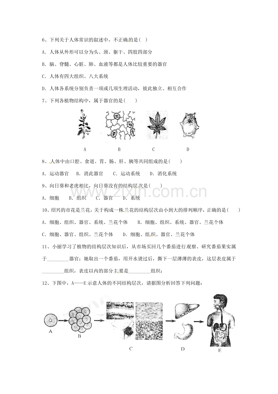 （适用期末复习）七年级生物上册 第2单元 第4章 生物体的结构层次教案 北师大版-北师大版初中七年级上册生物教案.doc_第3页