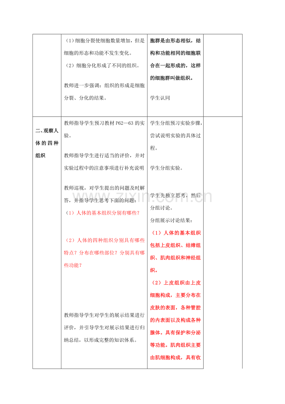 山东省临沂市费城镇初级中学七年级生物上册 第二单元 第二章 第二节《动物体的结构层次》教案 新人教版.doc_第3页