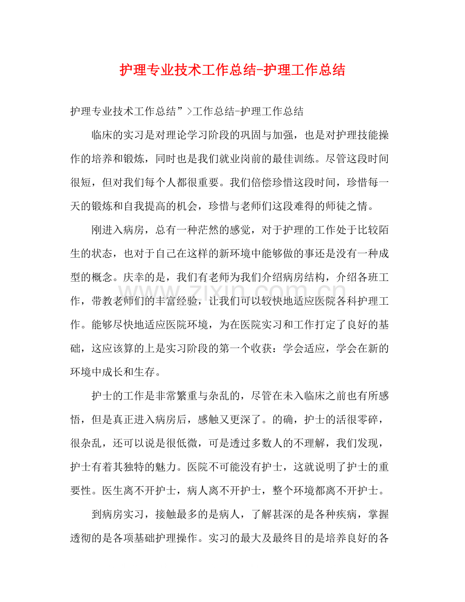 护理专业技术工作总结护理工作总结.docx_第1页