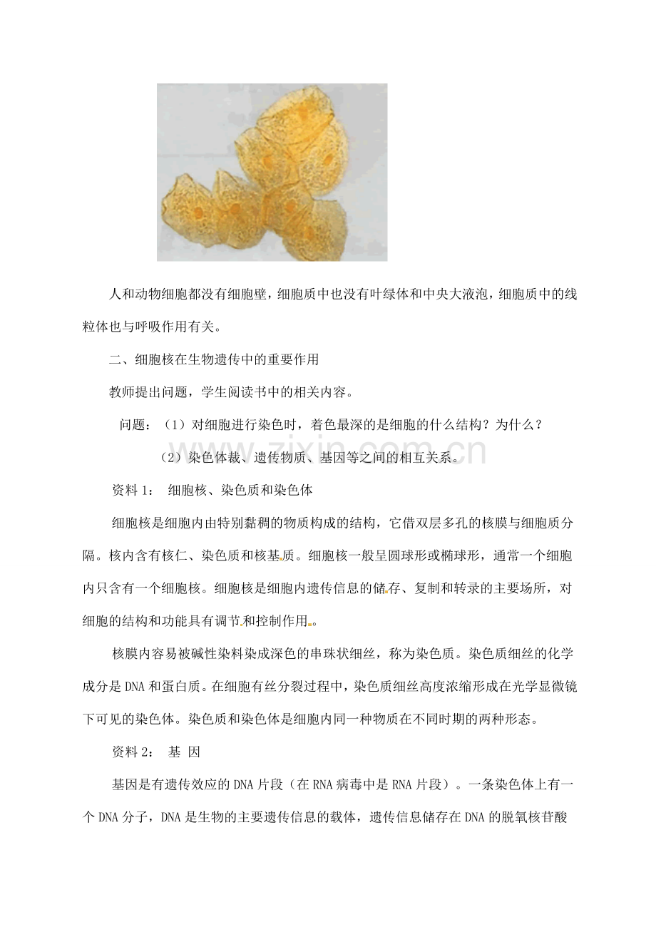 甘肃省白银市会宁县新添回民中学七年级生物上册《人和动物细胞的结构和功能》教案1.doc_第3页