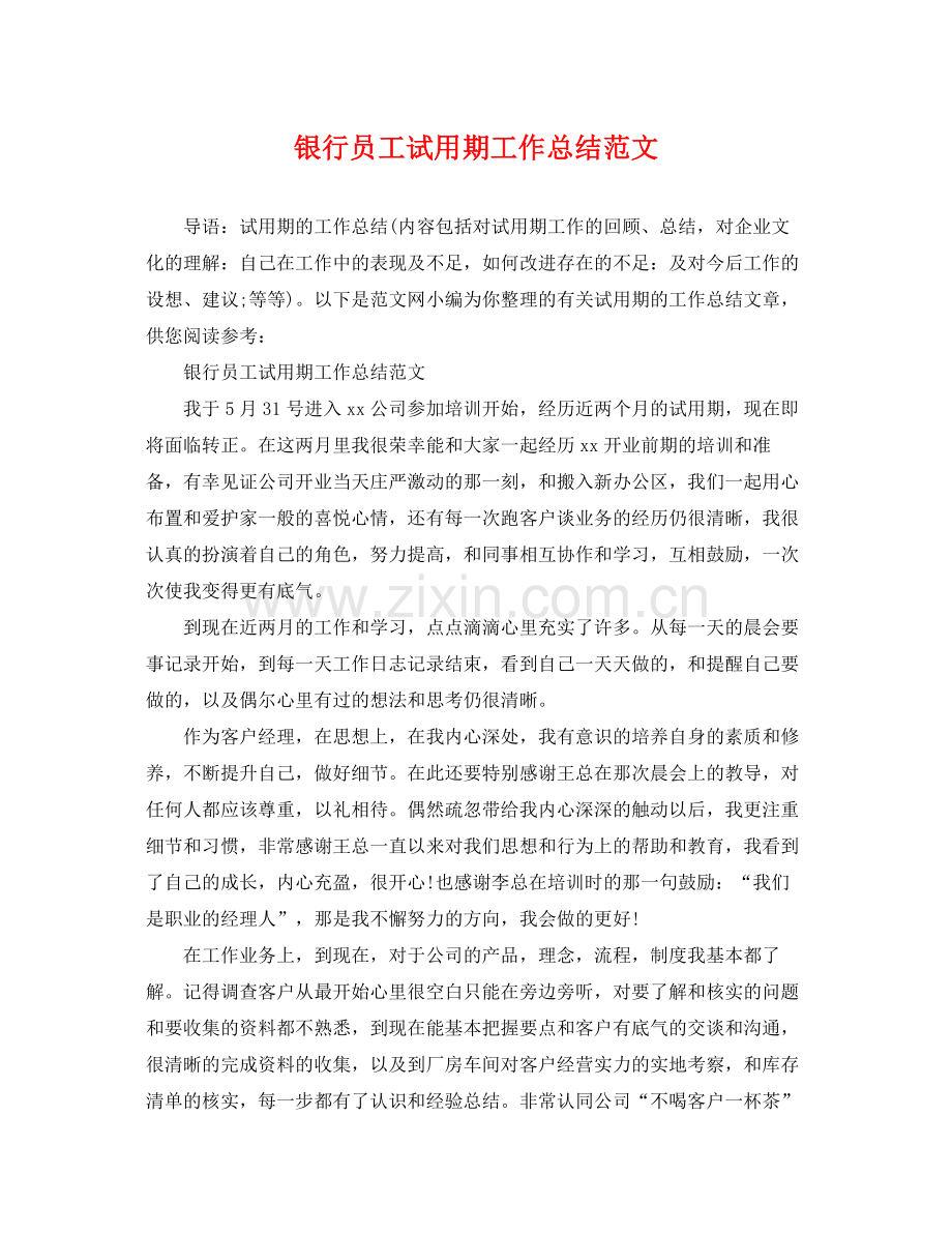 银行员工试用期工作总结范文 .docx_第1页