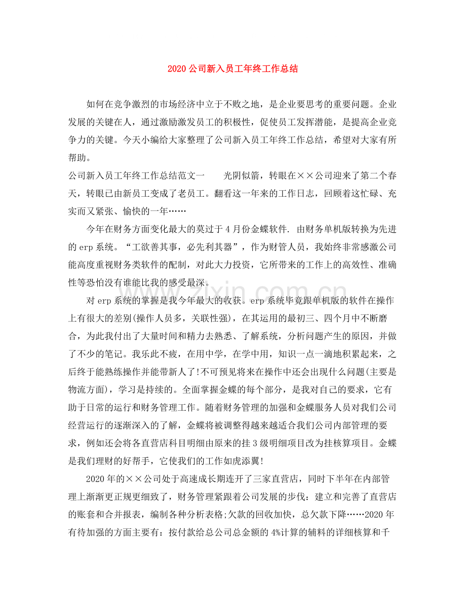 公司新入员工年终工作总结.docx_第1页