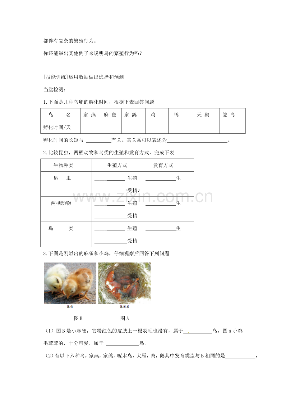 八年级生物上册 4.2.3鸟的生殖和发育教学设计 （新版）济南版-（新版）济南版初中八年级上册生物教案.doc_第3页