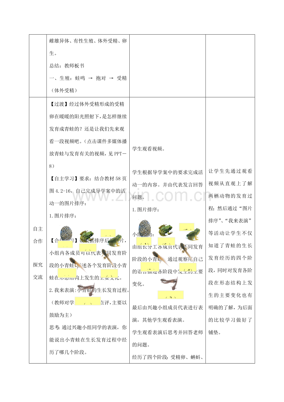 八年级生物上册 4.2.2《两栖动物的生殖和发育》教案3（新版）济南版-（新版）济南版初中八年级上册生物教案.doc_第3页