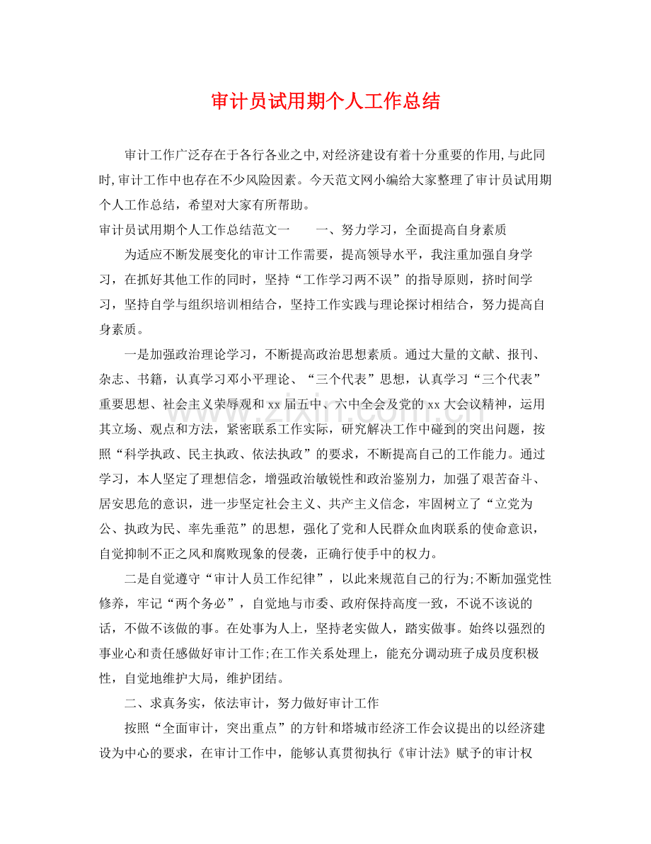 审计员试用期个人工作总结 .docx_第1页