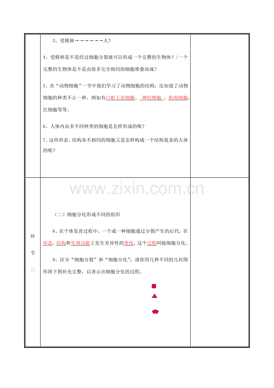 河南省中牟县七年级生物上册 2.2.2 动物体的结构层次教案 （新版）新人教版-（新版）新人教版初中七年级上册生物教案.doc_第3页