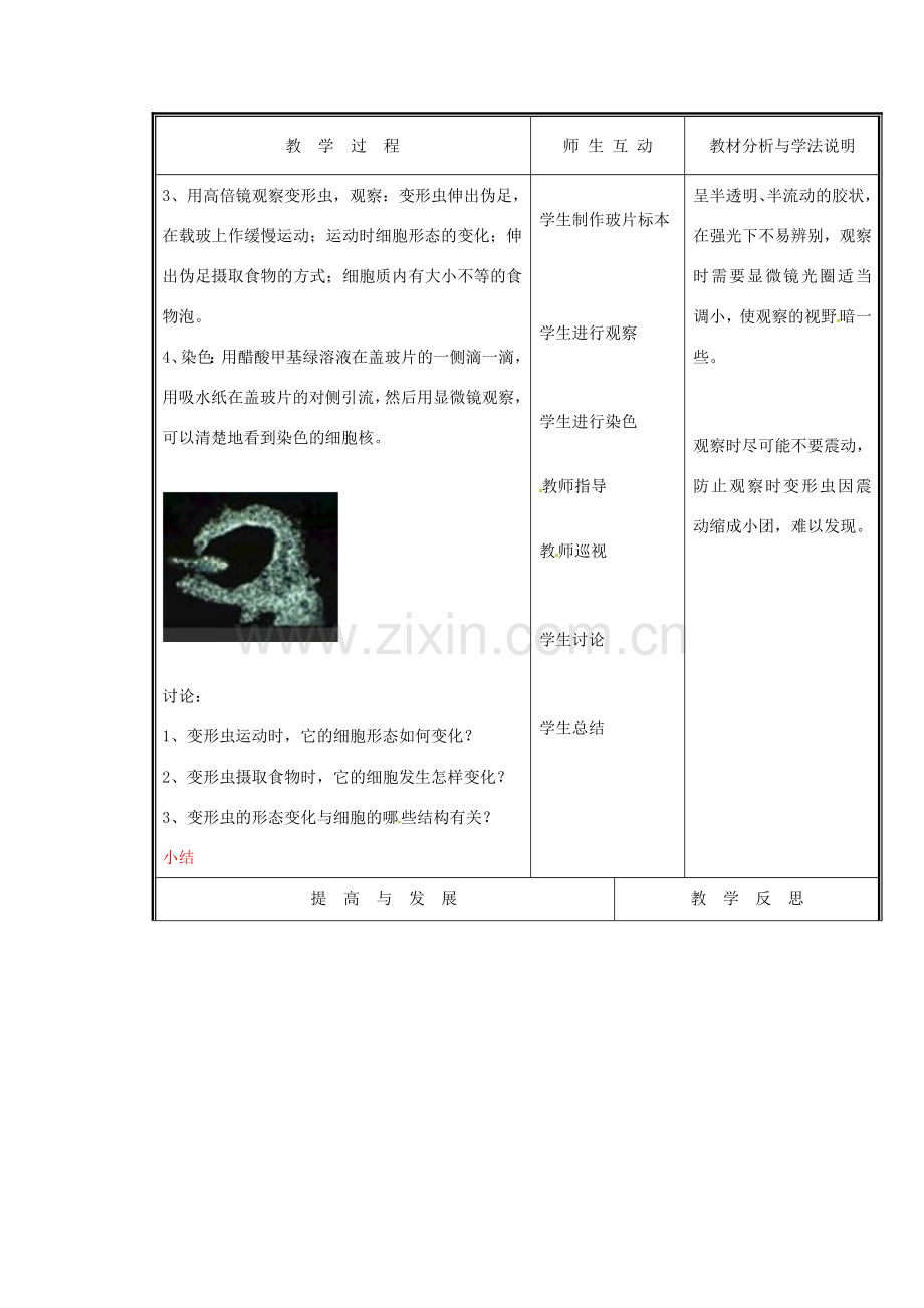 七年级生物上册 第二单元《生物体的结构》第3章 细胞是生命活动的单位 3.2 细胞是生命活动的单位（一）教案 （新版）北师大版.doc_第3页