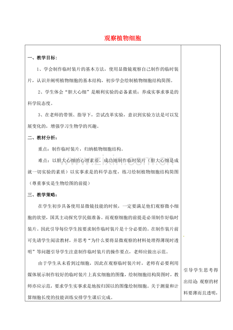 河北省高碑店市第三中学七年级生物上册 观察植物细胞教案 新人教版.doc_第1页