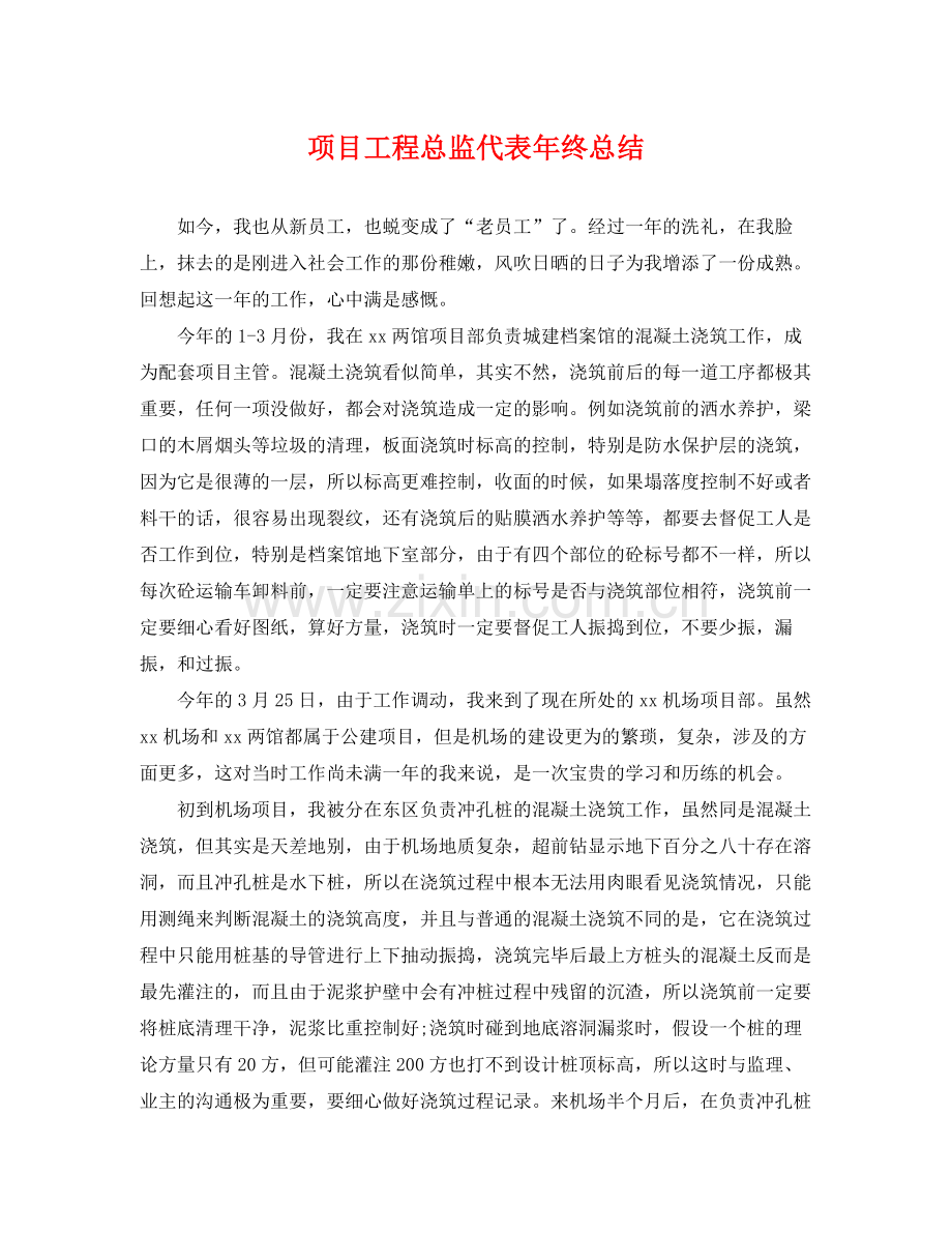 项目工程总监代表年终总结 .docx_第1页