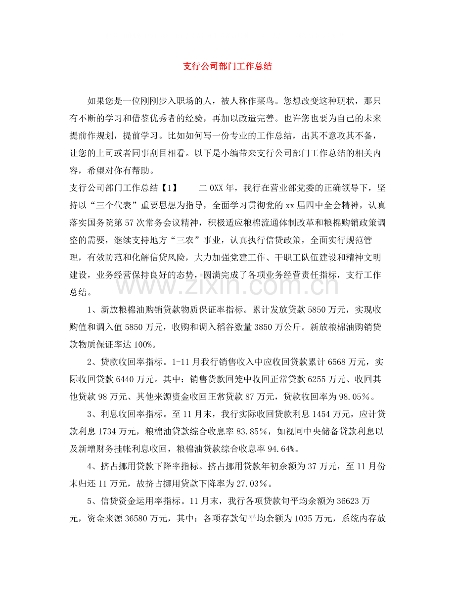 支行公司部门工作总结.docx_第1页