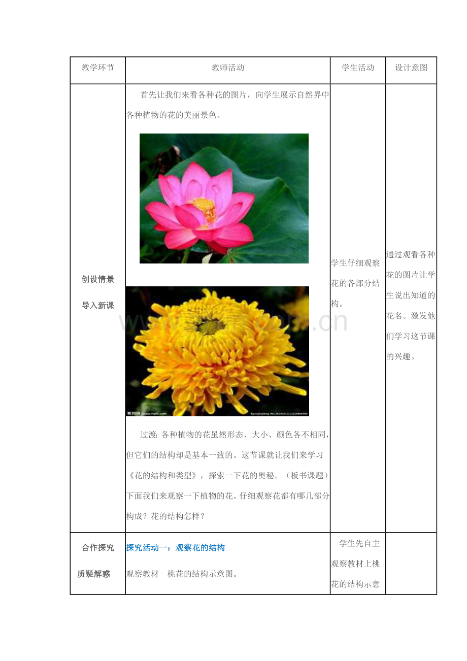 八年级生物上册 第四单元 第四章 第一节 花的结构和类型教案 济南版-济南版初中八年级上册生物教案.doc_第2页