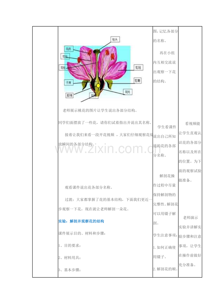 八年级生物上册 第四单元 第四章 第一节 花的结构和类型教案 济南版-济南版初中八年级上册生物教案.doc_第3页