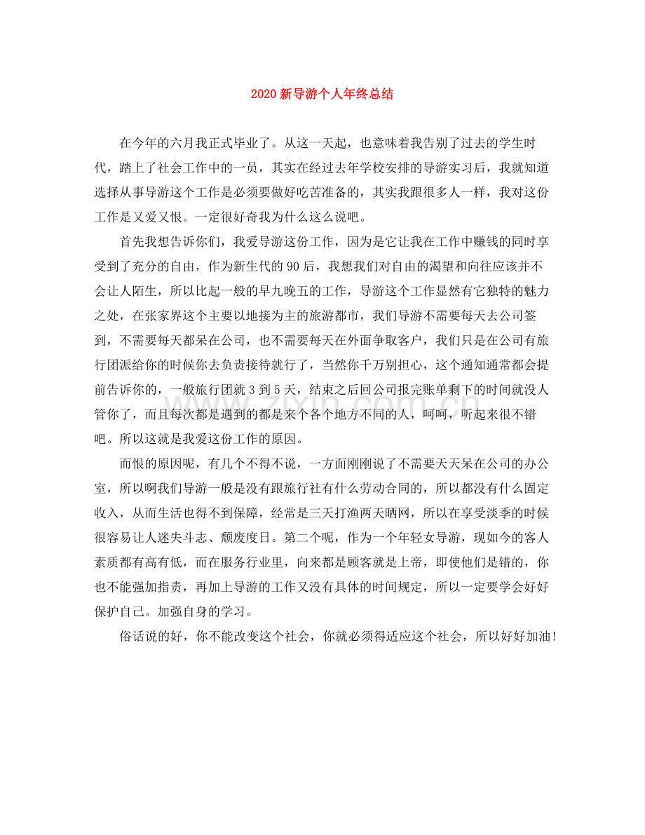 新导游个人年终总结.docx_第1页