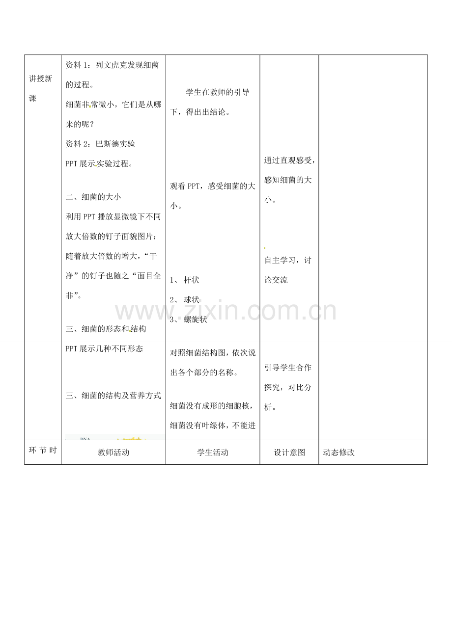 吉林省双辽市八年级生物上册 第五单元 第四章 第二节 细菌教案 （新版）新人教版-（新版）新人教版初中八年级上册生物教案.doc_第2页