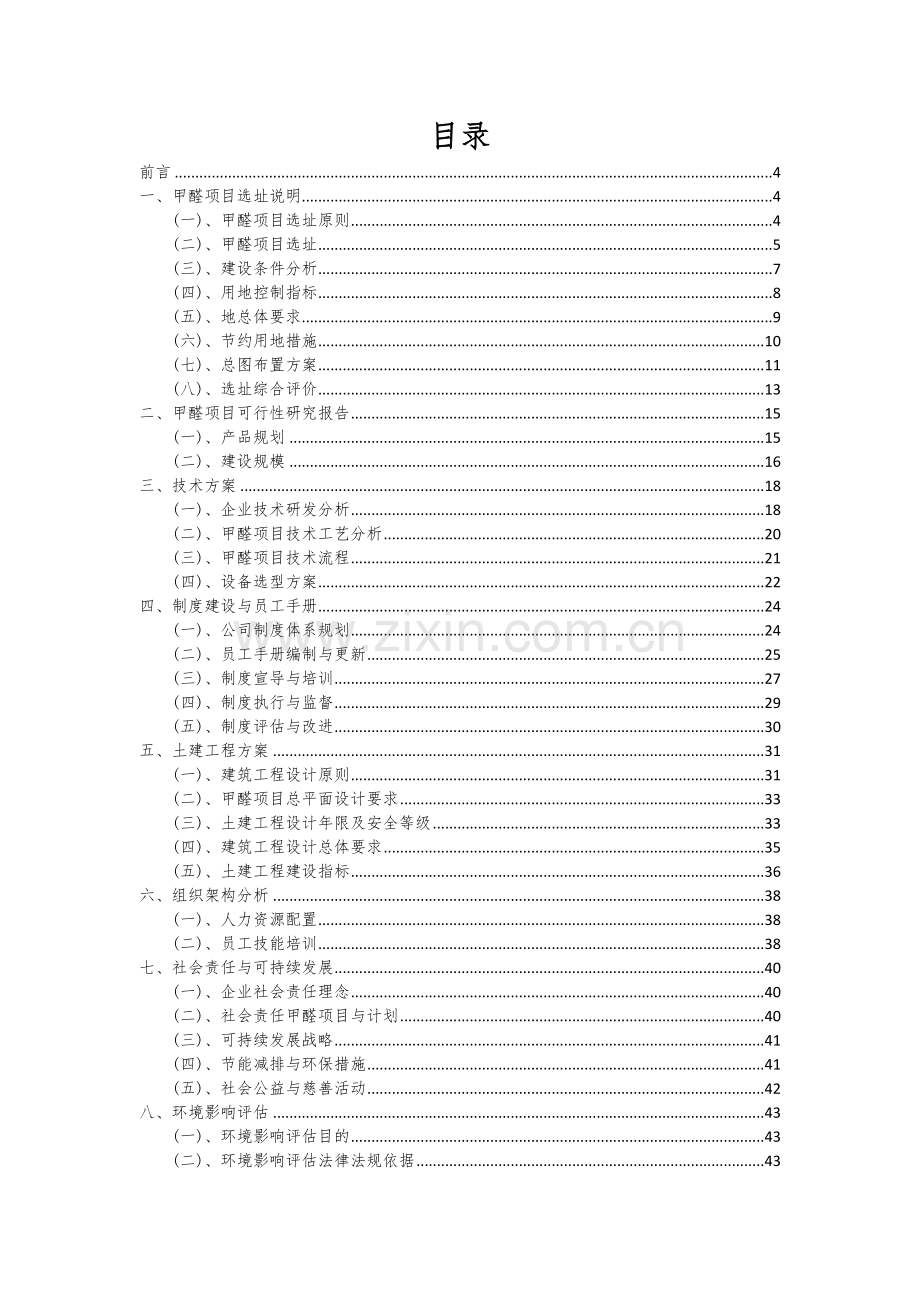 甲醛项目可行性分析报告.docx_第2页