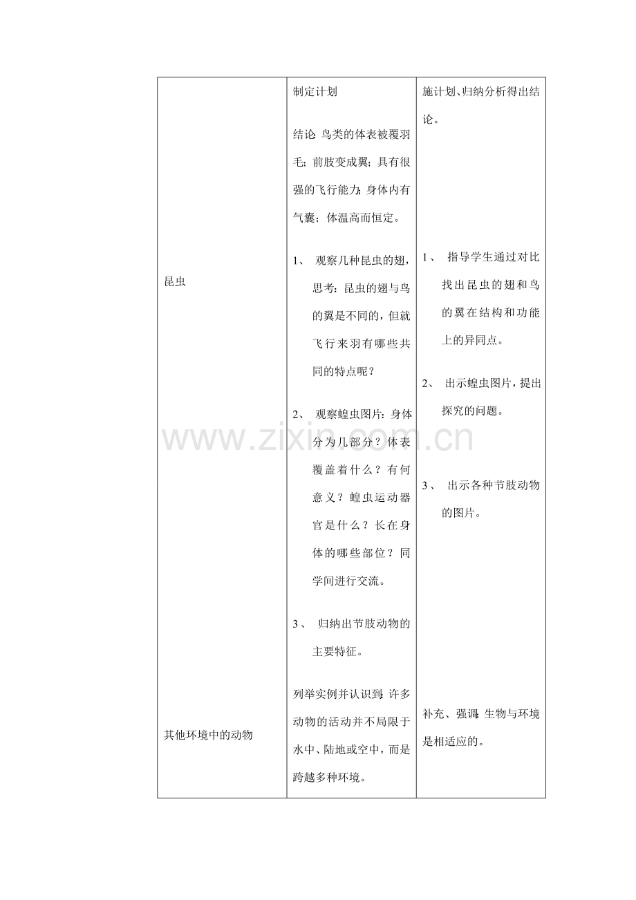 八年级生物上册 第一章 第三节 空中飞行的动物教案人教版新课标.doc_第3页