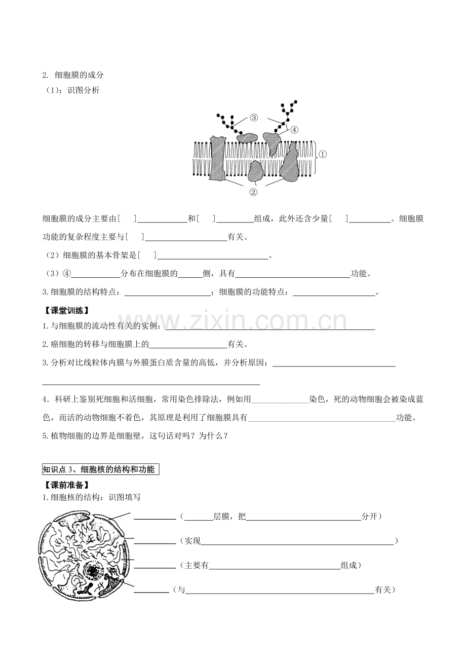 第5讲细胞膜与细胞核.doc_第2页