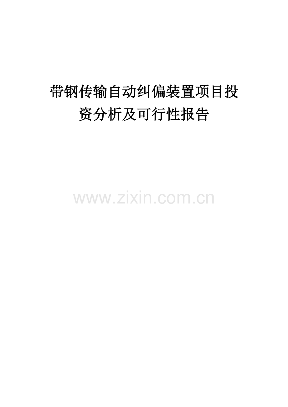 带钢传输自动纠偏装置项目投资分析及可行性报告.docx_第1页