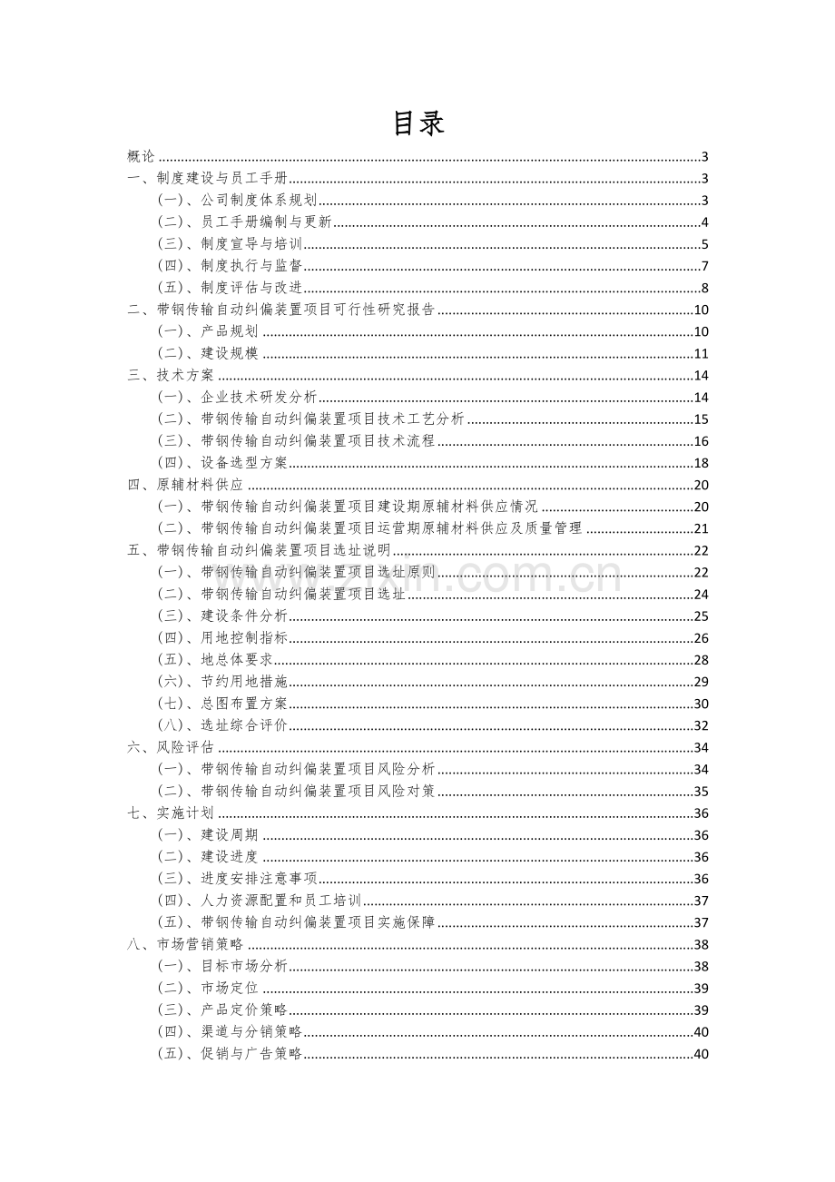 带钢传输自动纠偏装置项目投资分析及可行性报告.docx_第2页