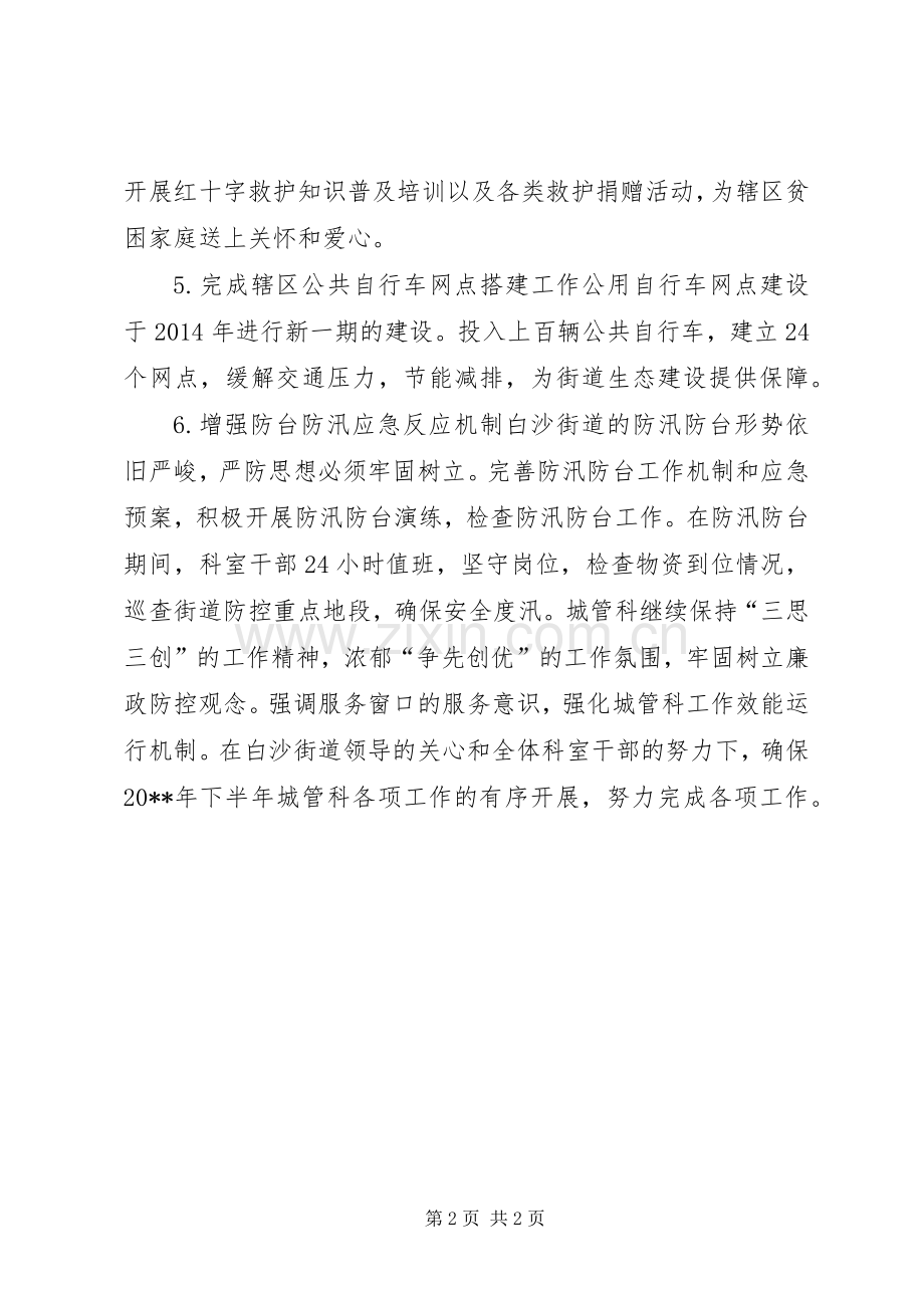 街道城管科下半年工作计划.docx_第2页